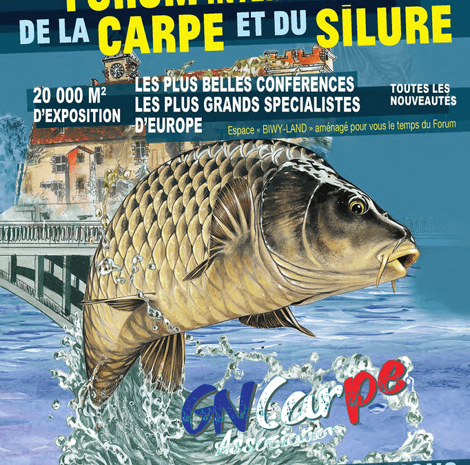 Forum de Montluçon carpe et silure 2023